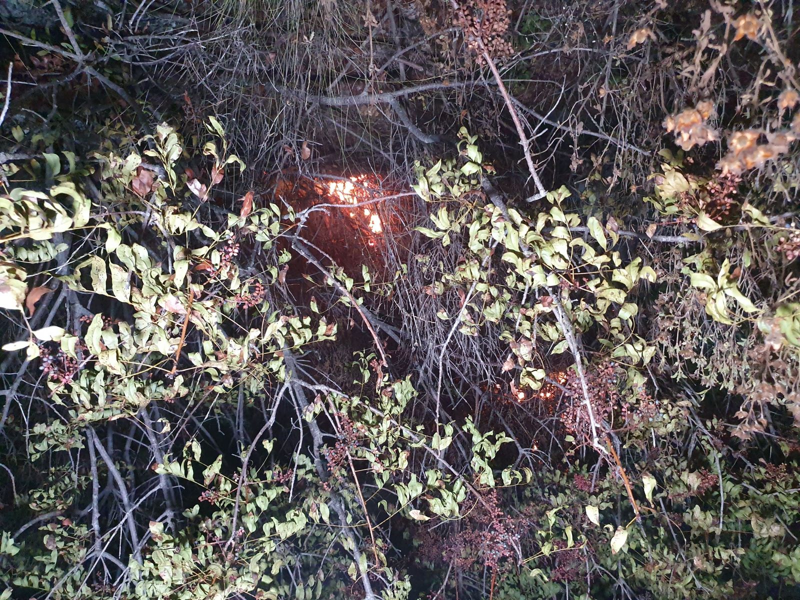 Alanya’da çalılık alanda yangın paniği